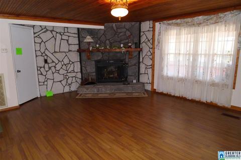 8397 River Rd, Warrior, AL 35180 photo 3