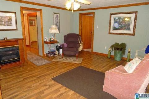 8397 River Rd, Warrior, AL 35180 photo 32