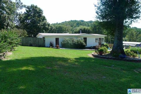8397 River Rd, Warrior, AL 35180 photo 12