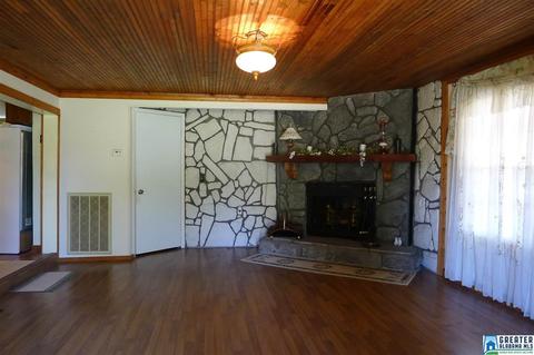 8397 River Rd, Warrior, AL 35180 photo 4
