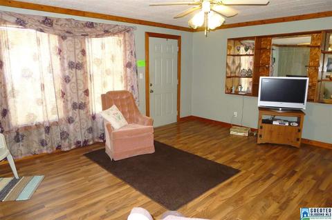 8397 River Rd, Warrior, AL 35180 photo 31