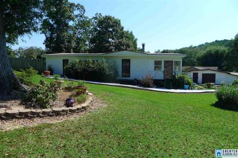 8397 River Rd, Warrior, AL 35180 photo 15