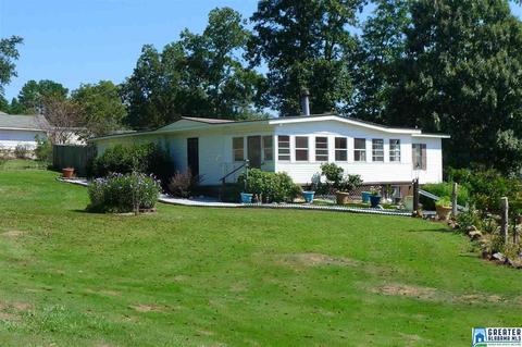 8397 River Rd, Warrior, AL 35180 photo 10