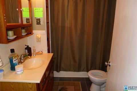 8397 River Rd, Warrior, AL 35180 photo 29