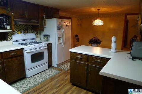 8397 River Rd, Warrior, AL 35180 photo 8