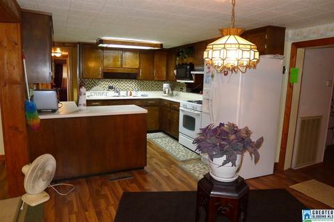 8397 River Rd, Warrior, AL 35180 photo 7