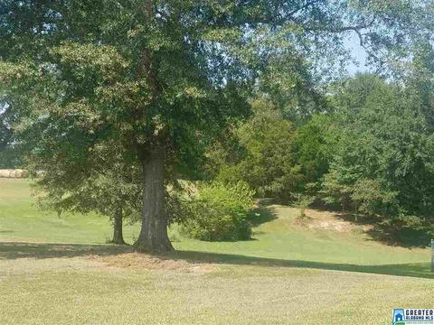 144 River Rd, Ohatchee, AL 36271 photo 8