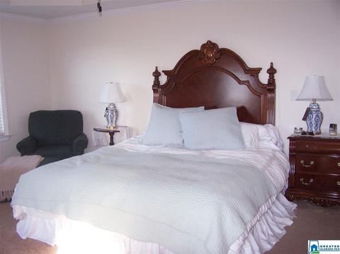 559 Dailey Cir, Oneonta, AL 35121 photo 17
