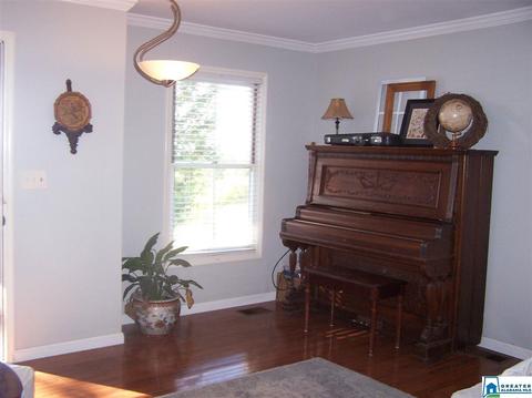 559 Dailey Cir, Oneonta, AL 35121 photo 28