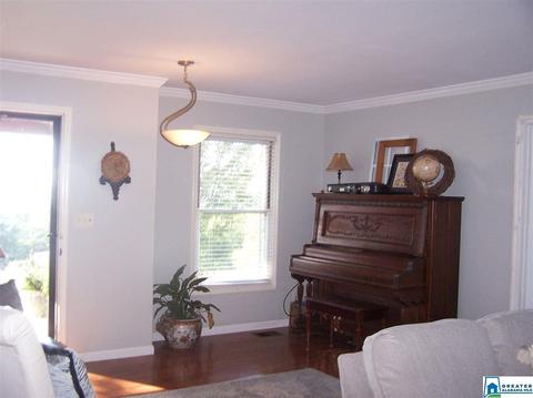 559 Dailey Cir, Oneonta, AL 35121 photo 27