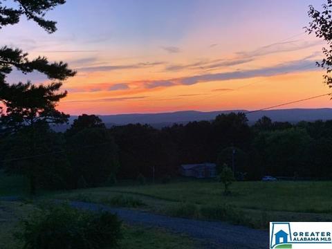 559 Dailey Cir, Oneonta, AL 35121 photo 5