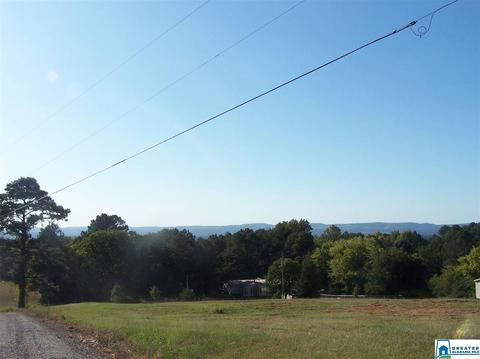 559 Dailey Cir, Oneonta, AL 35121 photo 22