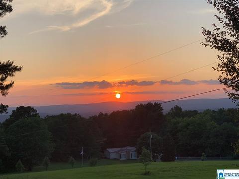 559 Dailey Cir, Oneonta, AL 35121 photo 2