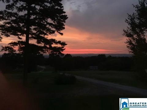 559 Dailey Cir, Oneonta, AL 35121 photo 19