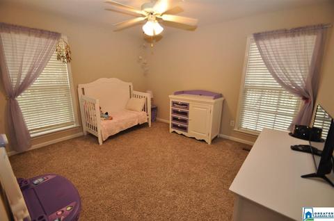 101 Sunset Trl, Alabaster, AL 35007 photo 11