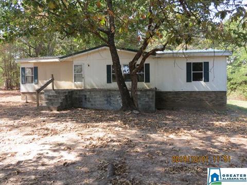 251 Salem Rd, Alpine, AL 35014 photo 1