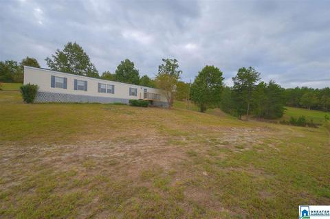 320 House Rd, Remlap, AL 35133 photo 19