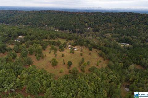 320 House Rd, Remlap, AL 35133 photo 27
