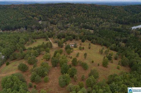 320 House Rd, Remlap, AL 35133 photo 25