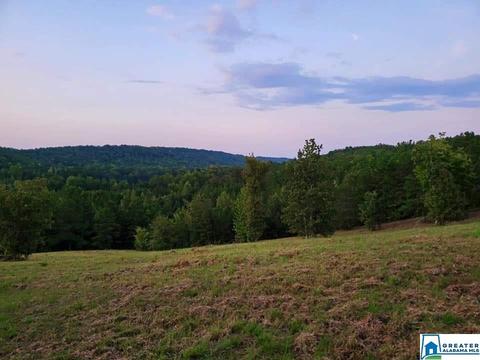 320 House Rd, Remlap, AL 35133 photo 4