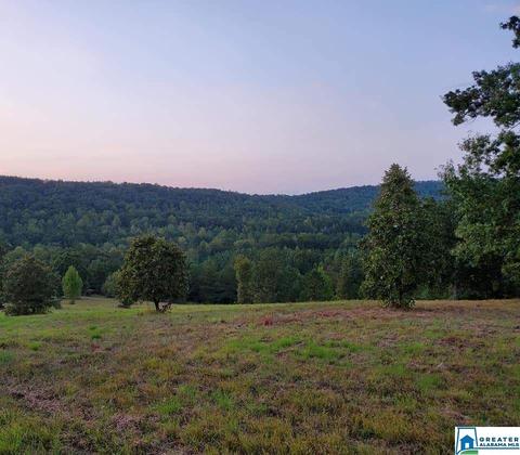 320 House Rd, Remlap, AL 35133 photo 3
