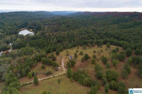 320 House Rd, Remlap, AL 35133 photo 23