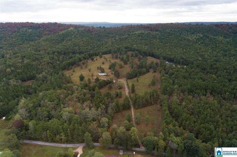 320 House Rd, Remlap, AL 35133 photo 21