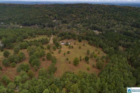 320 House Rd, Remlap, AL 35133 photo 26