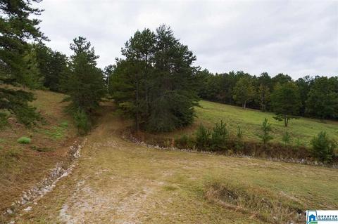 320 House Rd, Remlap, AL 35133 photo 33