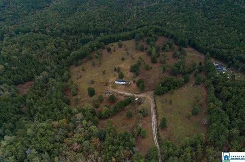 320 House Rd, Remlap, AL 35133 photo 30