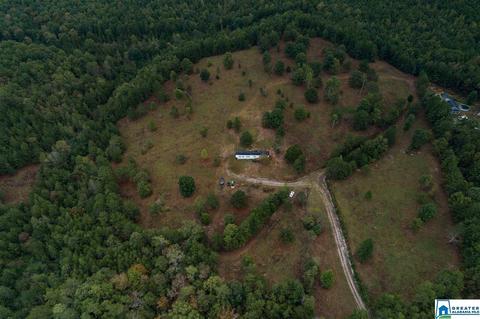 320 House Rd, Remlap, AL 35133 photo 31