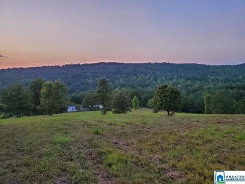 320 House Rd, Remlap, AL 35133 photo 35