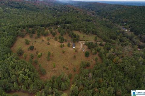 320 House Rd, Remlap, AL 35133 photo 29