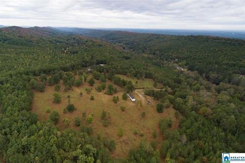 320 House Rd, Remlap, AL 35133 photo 1
