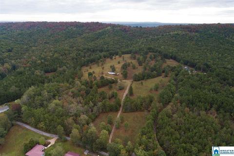 320 House Rd, Remlap, AL 35133 photo 22
