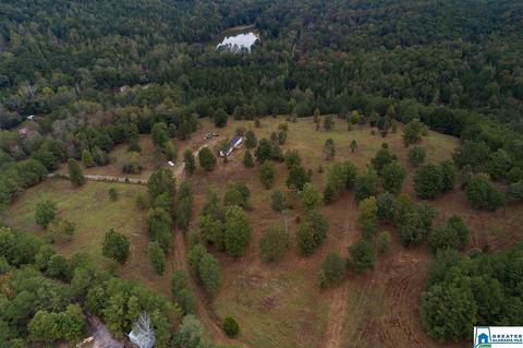 320 House Rd, Remlap, AL 35133 photo 24
