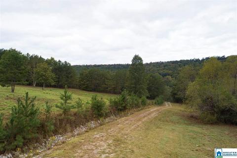 320 House Rd, Remlap, AL 35133 photo 34