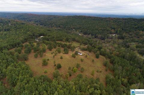 320 House Rd, Remlap, AL 35133 photo 28