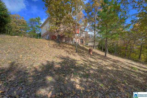 176 Ridgewood Dr, Remlap, AL 35133 photo 31