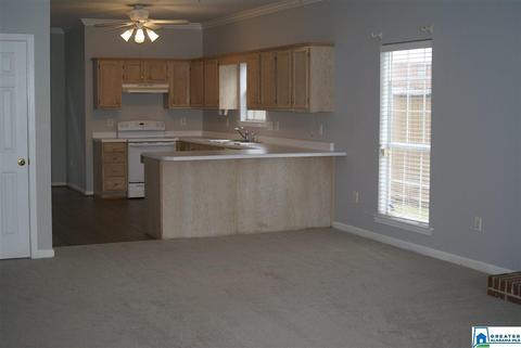 100 Timberleaf Cir, Alabaster, AL 35007 photo 3