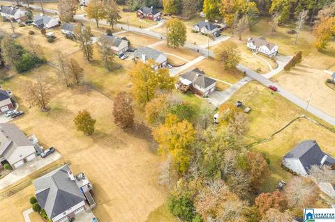 473 Bailey Loop Rd, Gardendale, AL 35071 photo 32