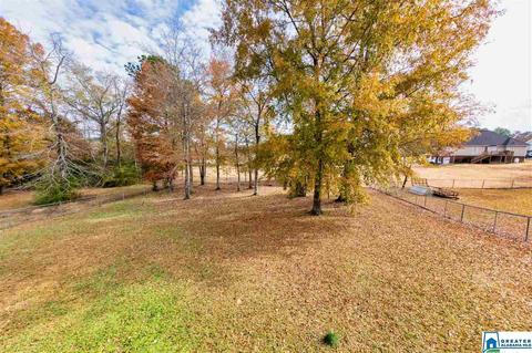 473 Bailey Loop Rd, Gardendale, AL 35071 photo 7