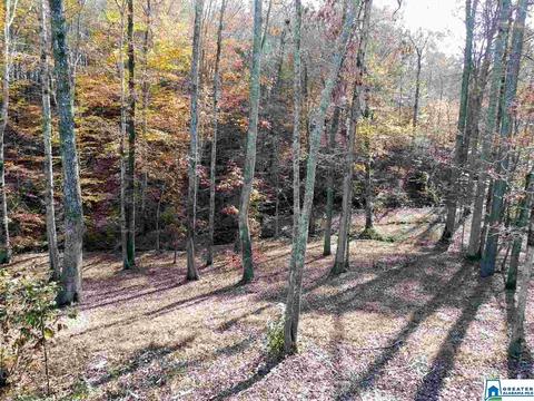 404 Murphy Dr, Heflin, AL 36264 photo 50