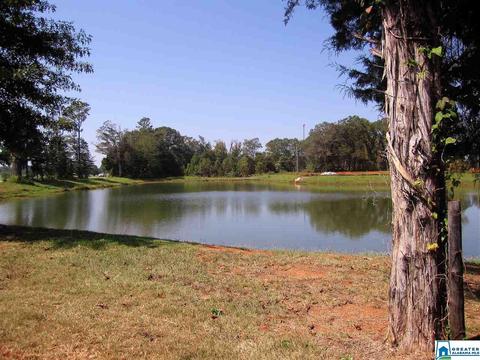 792 Michelle Mnr, Montevallo, AL 35115 photo 5