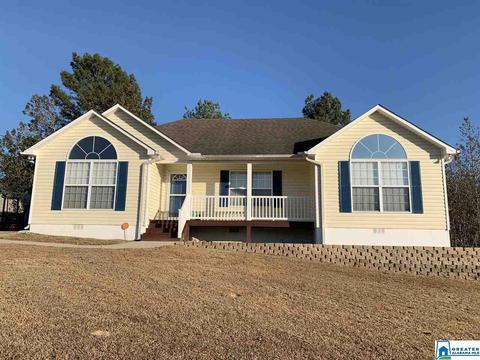 263 Ty Ln, Warrior, AL 35180 photo 35
