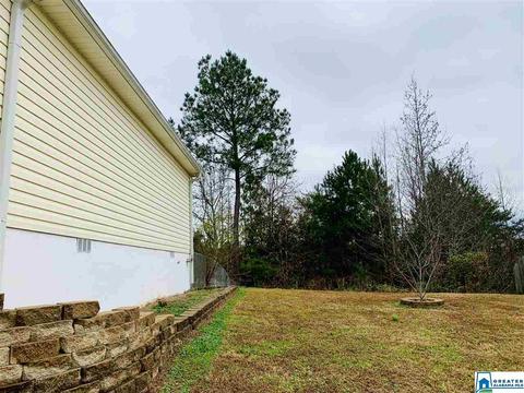 263 Ty Ln, Warrior, AL 35180 photo 30