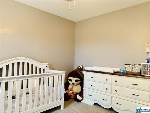 263 Ty Ln, Warrior, AL 35180 photo 17