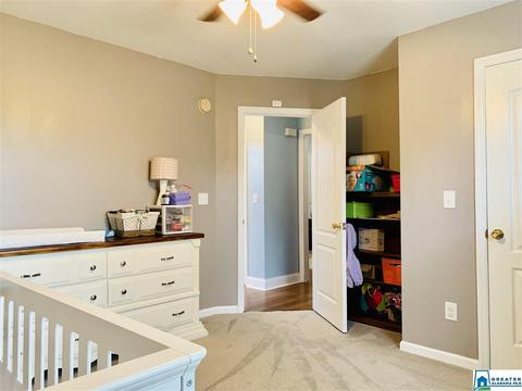 263 Ty Ln, Warrior, AL 35180 photo 18