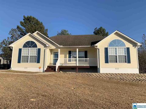 263 Ty Ln, Warrior, AL 35180 photo 33