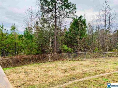 263 Ty Ln, Warrior, AL 35180 photo 25